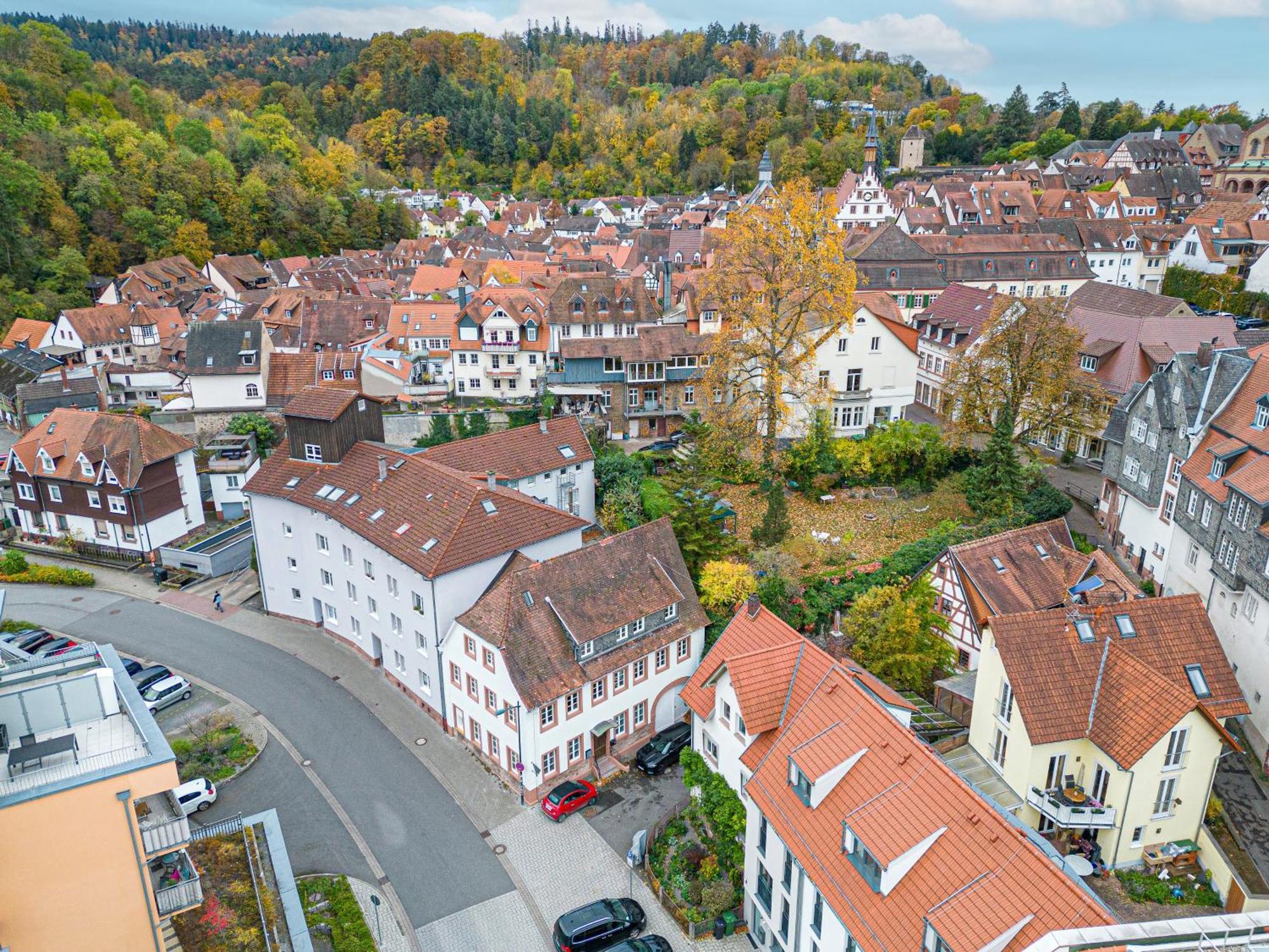 Lit Living Weinheim Altstadt - Boutique Apartments - Parking Bagian luar foto