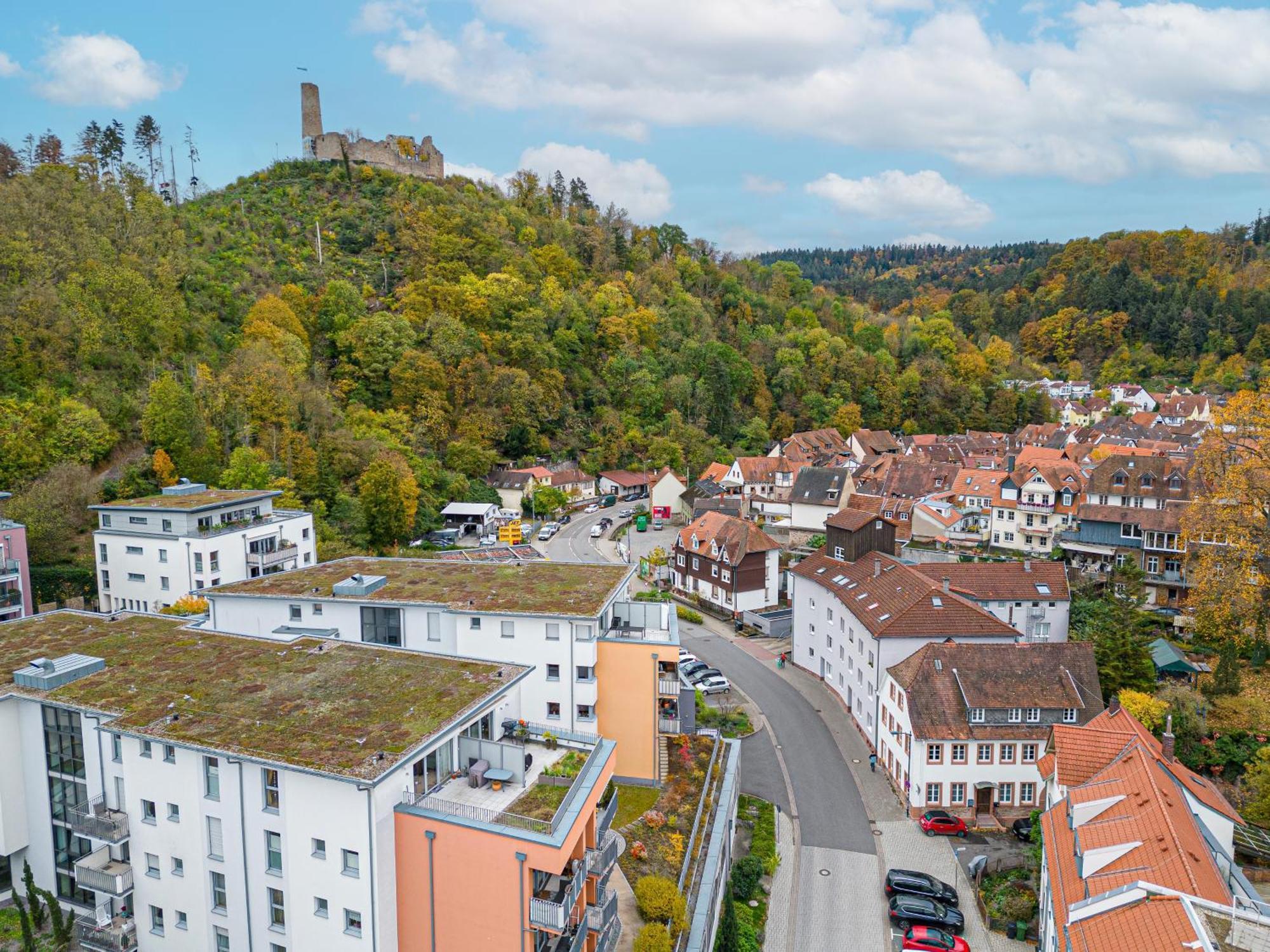 Lit Living Weinheim Altstadt - Boutique Apartments - Parking Bagian luar foto